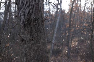 29136383