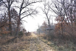 29136386