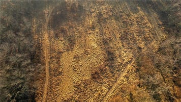 29136340
