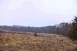 29136381