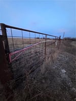 29136697