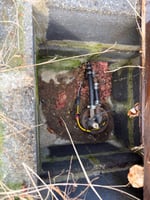 29145703
