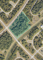 29146454