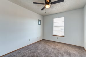 29147369