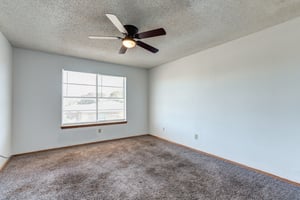 29147367