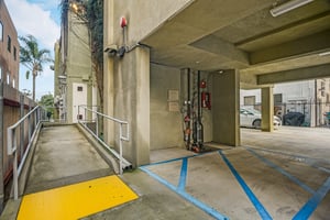 29204067