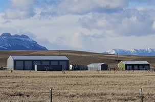 29152452