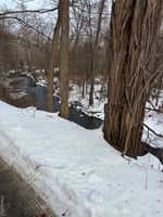 29153372
