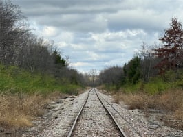 29154958