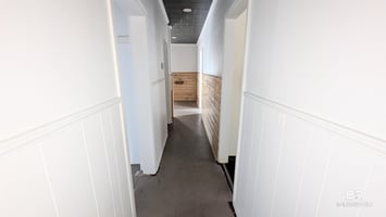 29155067