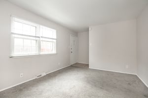 29578409