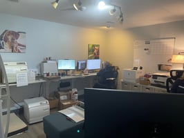29159862