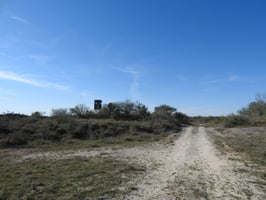29162219