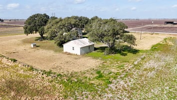 29164401