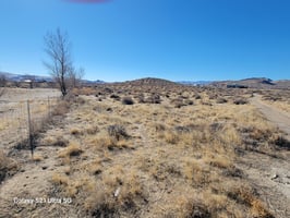 29164641