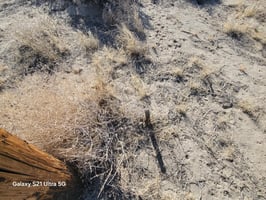 29164639