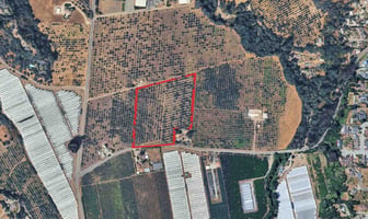 29175449