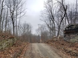 29177457