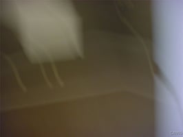 29180801