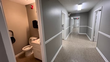 29547236