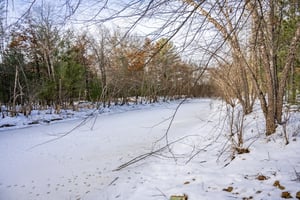 29195711