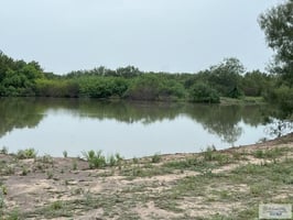 29202591