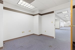 29204602