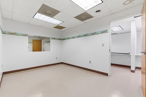 29204531