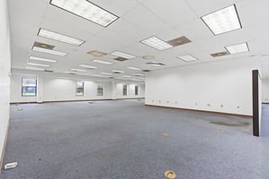 29204593