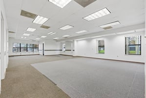 29204545
