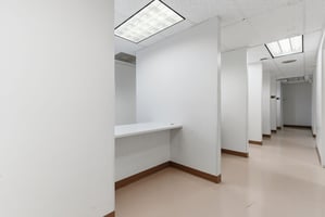29204529