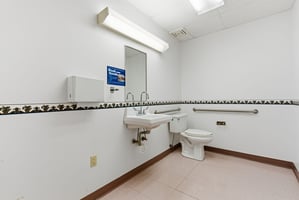 29204538