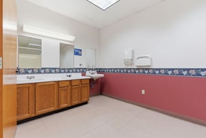 29204571
