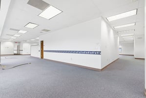 29204596