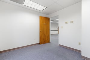 29204604