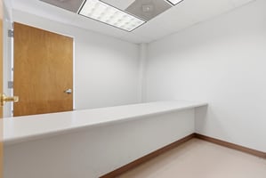 29204565
