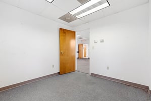 29204535