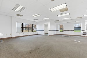 29204532