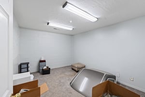 33628966