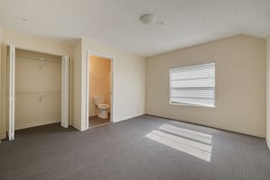 29204981