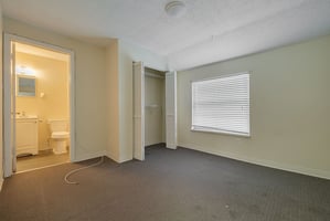 29204974