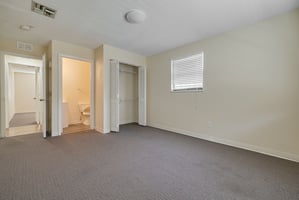 29204977