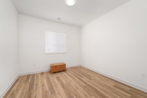 29205419