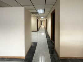 29205460