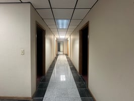 29205459