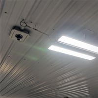 34035439