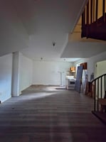 29581833