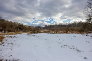 29236458