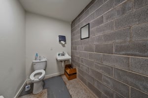 29236662