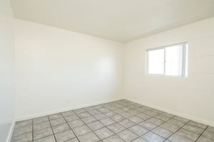 29237746